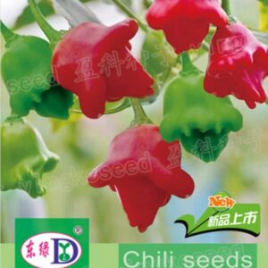 Wind pepper ( 25 pieces )
