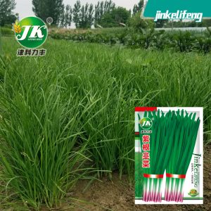 2g of purple root chives (about 500 capsules)