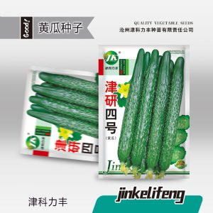 Jinyan No. 4 Long Cucumber (about 50 pieces)