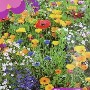 Wildflower combination (about 4g)