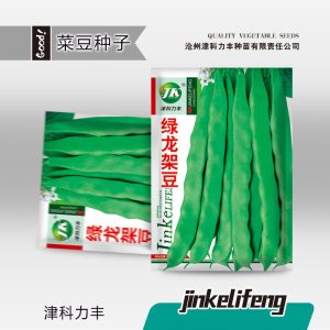 10g green dragon beans (20 pieces)