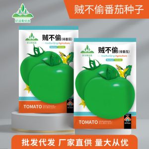 The thief didn't steal about 100 green tomatoes.