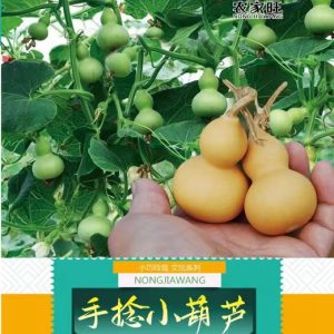 Hand-twisted small gourd (10 pieces)