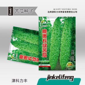 About 10 long green bitter melons