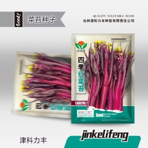 5g of Four Seasons Red Cabbage Sprouts (about 1000 pieces)