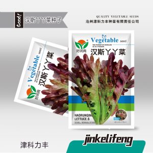 About 2000 coffee lettuce