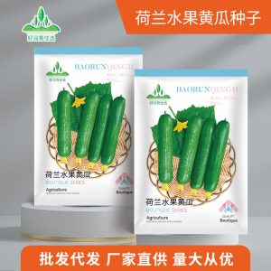 About 30 Dutch fruit cucumbers