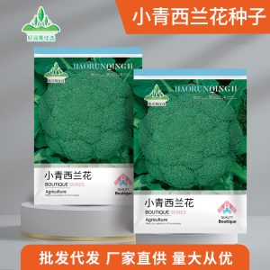 200 small green broccoli florets