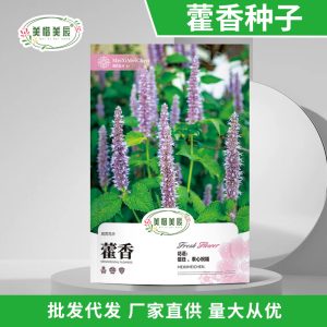 1000 agastache\potuchili seeds