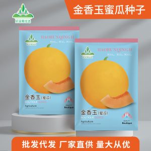 50 pieces of Jinxiangyu honeydew melon
