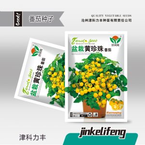 About 100 potted yellow pearls