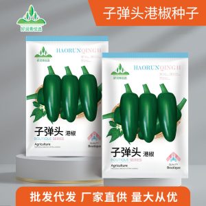 Hong kong Bullet chili (500p)