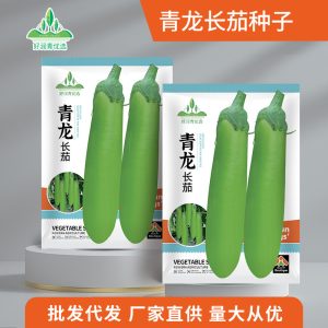 Qinglong long jacket 300 pieces