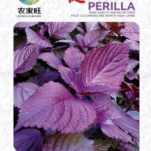 Perilla (about 350 pieces)