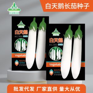 2 grams of white swan long eggplant (300 pieces)