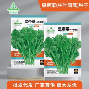 5g of medium-leaf chrysanthemum