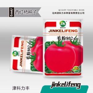 Approximately 200 pink tomatoes