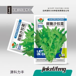 About 2000 pieces of sweet and crispy salad