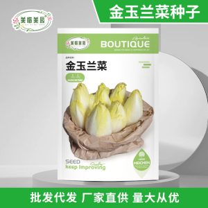 300 golden magnolia seeds