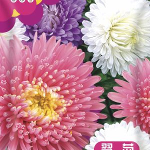 Aster 1g (about 600 tablets)