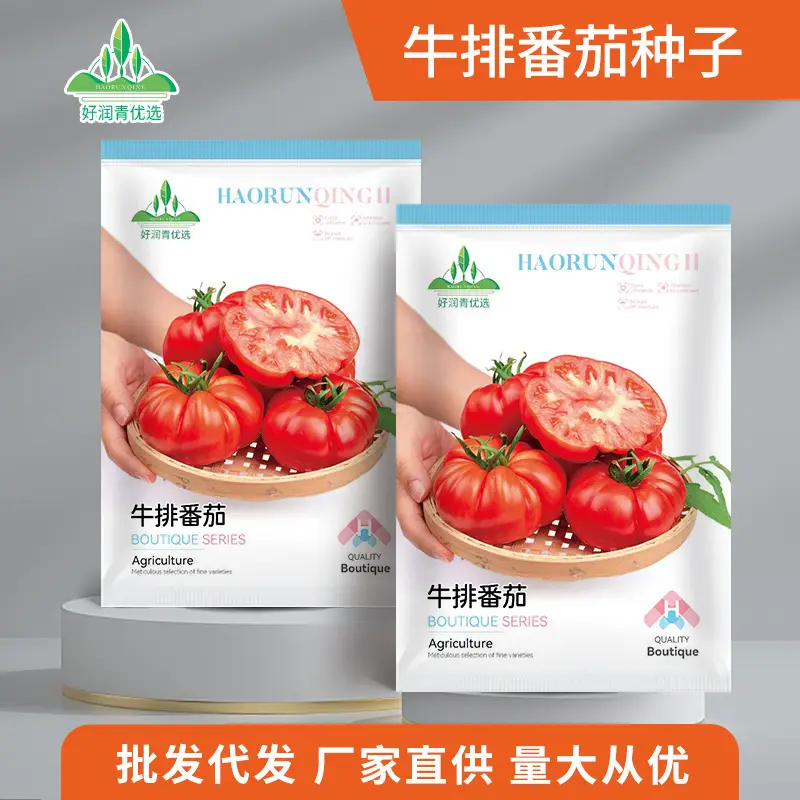 Steak tomato ( 100 pieces )