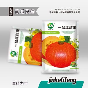 5g red chestnut pumpkin (about 20 pieces)