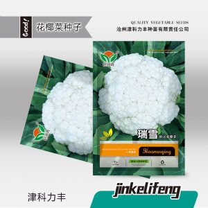 200 seeds of snow cabbage flowe