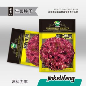 About 2000 pieces of sweet and crispy salad