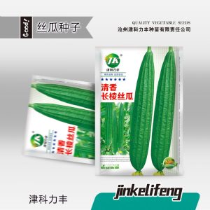 5g of long-ribbed loofah (about 40 pieces)