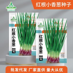 About 500 red chives