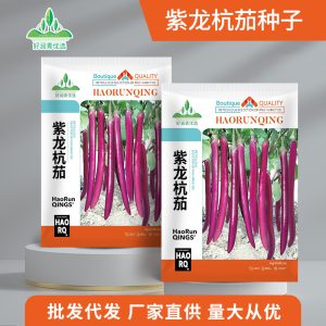 100 Zilong Hang eggplants