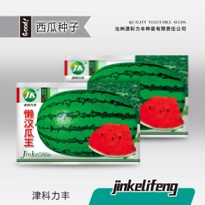 3g of Lazy Man's Melon King Watermelon ( 50 pieces)