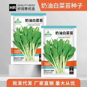 Creamy cabbage moss 5g about 1000 capsules