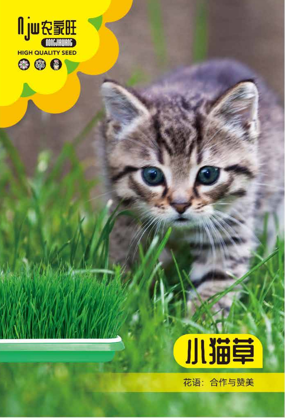 Kitten grass (1000 pieces)