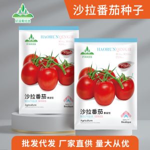 Salad tomato (200 pieces)