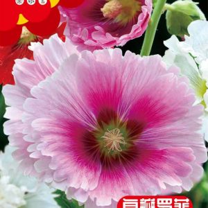 Marshmallow (about 100 pieces)