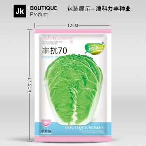 800 heads of Fengkang 70 Chinese cabbage