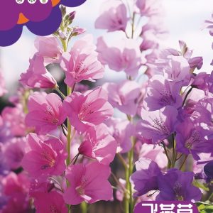 Delphinium (about 400 capsules)