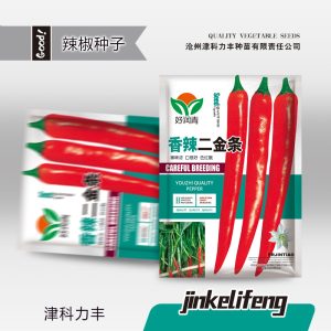 Spicy Erjin Bars 5g (about 500 pieces)