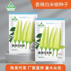 About 100 spicy white rice peppers