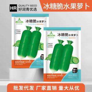 500 pieces of rock sugar crispy fruit radish