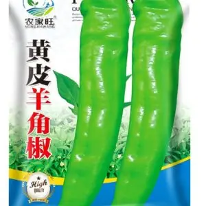 Chorizo peppers ( 500 piece )