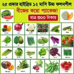 ২৫ প্রকার সবজি বীজের দারুন কম্বো প্যাকেজ/প্রত্যেকটি আইটেম ছোট জিপার পলিতে থাকবে
