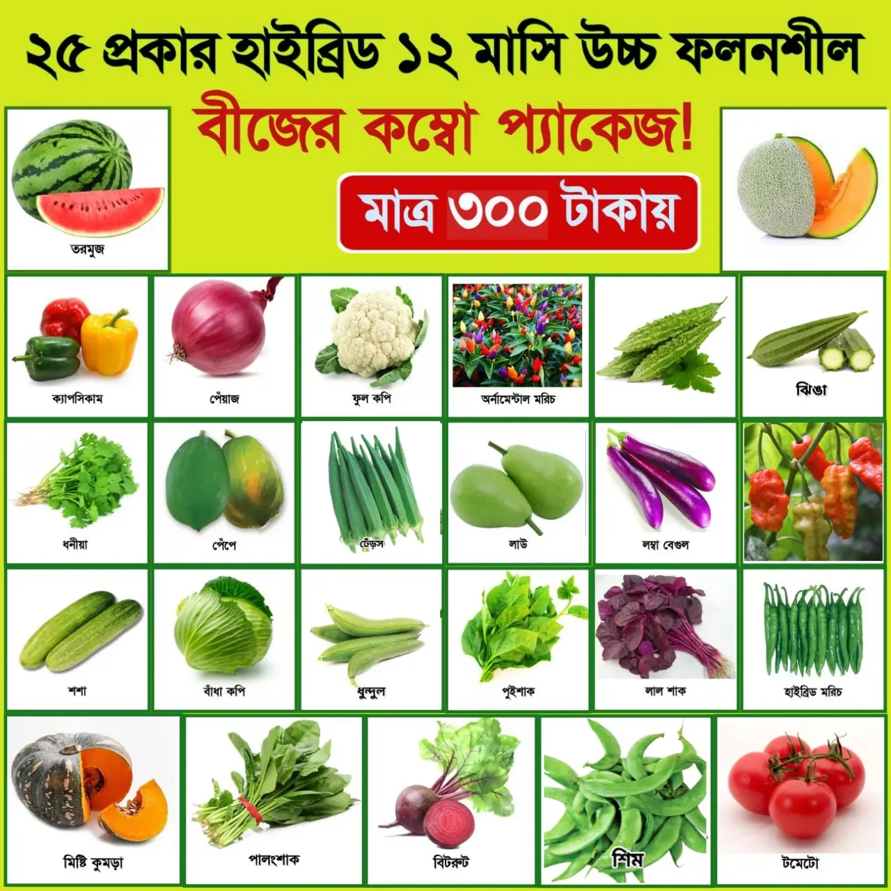 ২৫ প্রকার সবজি বীজের দারুন কম্বো প্যাকেজ/প্রত্যেকটি আইটেম ছোট জিপার পলিতে থাকবে