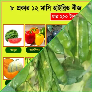 9 প্রকার বারোমাসি হাইব্রিড বীজের কম্বো প্যাকেজ+কেরালা শিম বড় প্যাকেট/All year 9 types of hybrid seed+Kerala bean