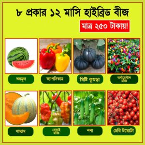 9 প্রকার বারোমাসি হাইব্রিড বীজের কম্বো প্যাকেজ+PALANG শাক 10 গ্রাম+ডাটা 10 গ্রাম