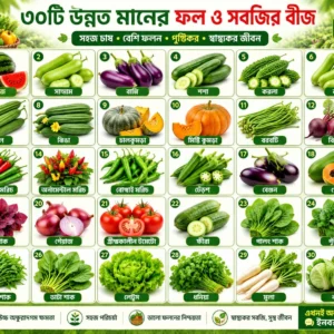 30 প্রকার সবজি বীজের দারুন কম্বো প্যাকেজ/প্রত্যেকটি আইটেম ছোট জিপার পলিতে থাকবে
