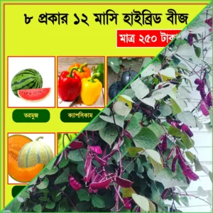 9 প্রকার বারোমাসি হাইব্রিড বীজের কম্বো প্যাকেজ+লাল শিম বড় প্যাকেট/All year 9 types of hybrid seed+Red bean